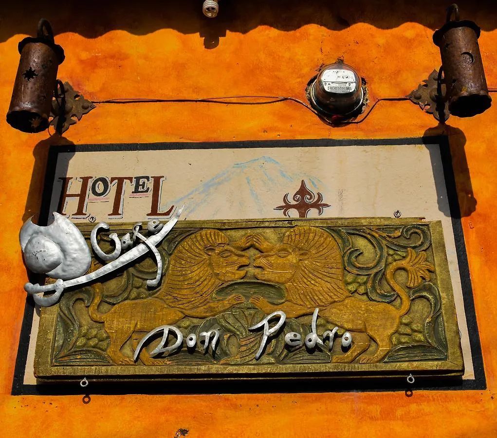 Hotel Don Pedro Antigua 2*,